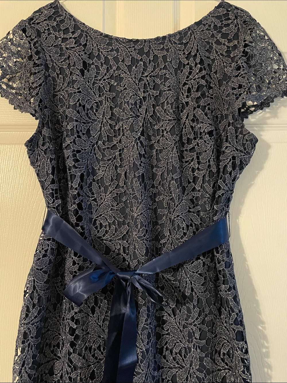 Elegant Navy Lace A-Line Dress with Ribbon Waist